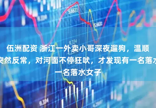 伍洲配资 浙江一外卖小哥深夜遛狗，温顺狗狗突然反常，对河面不停狂吠，才发现有一名落水女子